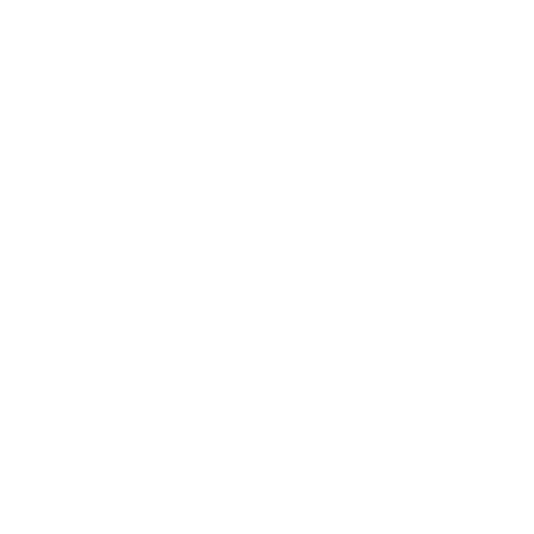 MAX-MARA